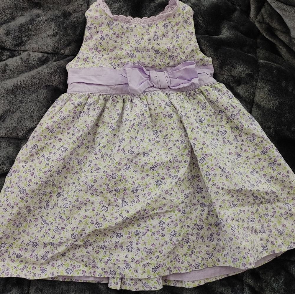 Carter's dress with nickers